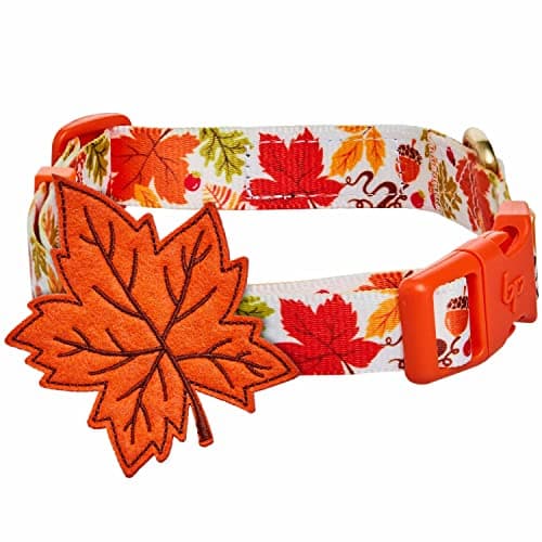 Blueberry Pet Adjustable Thanksgiving Dog Collar - Medium 14.5"-20" Neck, Perfect Puppy Collar for Fall, Maple Décor, Dog Collars for Small Dogs, Ideal for Family Photos & Matching Outfits